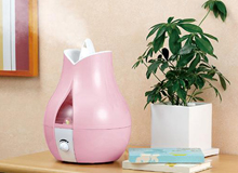 关于加湿器 你不得不知道的这些事儿