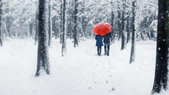 QQ截图20190214145504